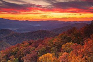 1023 English Mtn Condo by Beyond Expectations - Sevierville - 8