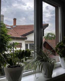 studio apartman - 2