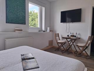 Luxury Spa Hotel - Francofolies - 4