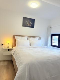 3 bedrooms, 2 studios, 1 apartment, all independent - 2