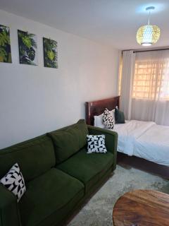 Superior Studios in Kasarani Seasons by Epic Living Spaces - 7