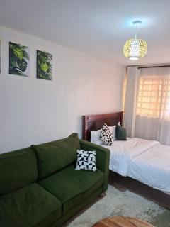 Superior Studios in Kasarani Seasons by Epic Living Spaces - 8
