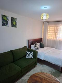 Superior Studios in Kasarani Seasons by Epic Living Spaces - 0