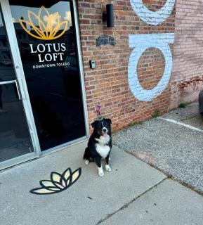 The Lotus Loft Urban Retreat - 6