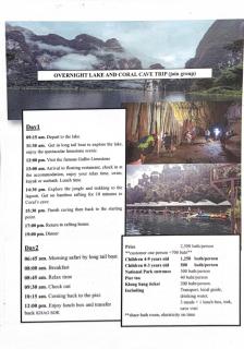 KhaoSok Mountain Palms Lodge - 3