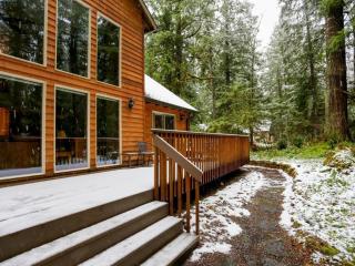 Salmon River Lodge - Welches - 7