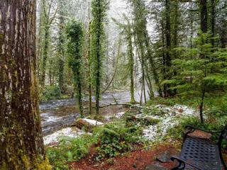 Salmon River Lodge - Welches - 4