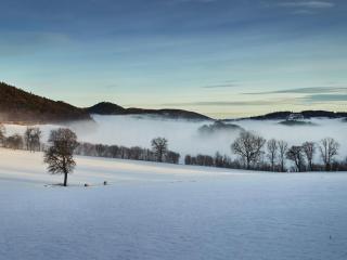 Wienerwaldblick - Mauerbach - 9