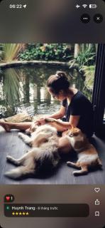 Rustika Home - 3