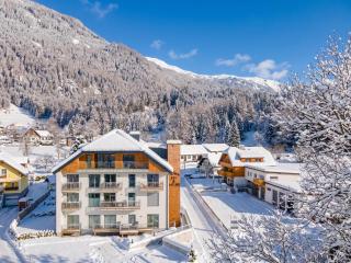 Ski Nature Apartment Lungau Top 18 - 0