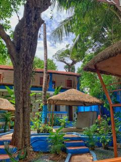 CanaCorner - The Lazy Nest - 9