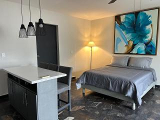 New apartment 10 min BBVA Stadium & Fundidora Park wifi & coffee - 3