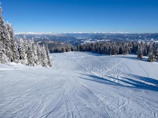 Grebenzen Alpenblick Lodge - 9