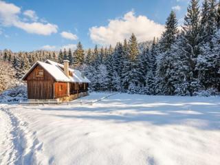 Grebenzen Alpenblick Lodge - 0