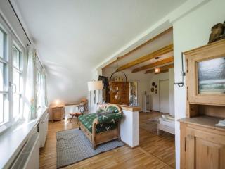 Naturpark Chalet Schladming-Dachstein - 5
