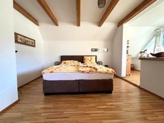 Naturpark Chalet Schladming-Dachstein - 2