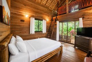 Red Frog Jungle Lodges - 8