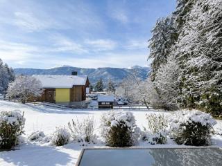 Seeblick am Pressegger See - Presseggersee - 9