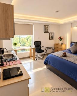 A06 KING PREMIUM Suite Cocina Terraza Companies Work Teams 1-2 PAX - 5