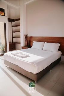 Tapir Hotel - 2