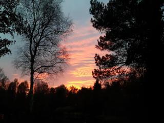 HasseBassie - 2