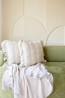 Beautiful apartment in the heart of Polanco - 4