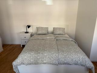 The Simplon Terrace 3 Min from Lausanne Station 63 - 6