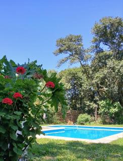 Quinta Linares Cardozo - 8