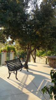Agriturismo Chiai Francesco - Bari Sardo - 2