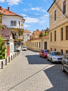 The Historical Family House-Cluj Napoca center - 8