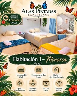 Alas Pintadas Experience - 1
