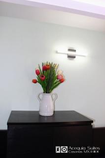 A14 MAX Suite Cocina Terraza ideal para Familias Empresas Equipos de Trabajo de 1 a 4 personas - 5