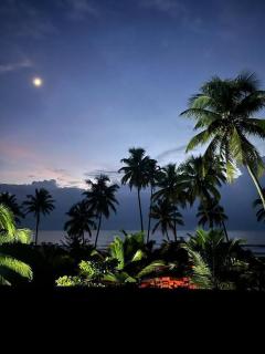 Dariya beach house- beach stays - 8