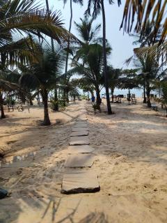 Dariya beach house- beach stays - 3