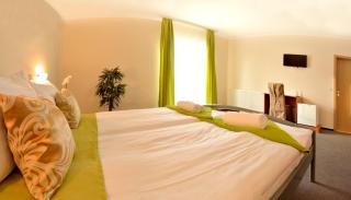 Viktória Wellness Hotel - Nagyatád - 3