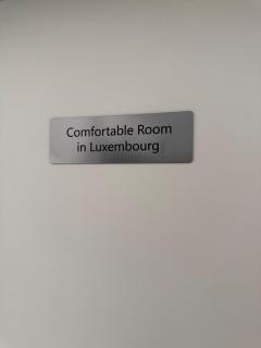 Comfortable Room - 4