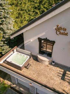 Silvia Chalet Poiana Brasov - 7