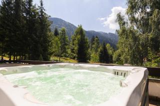 Silvia Chalet Poiana Brasov - 5
