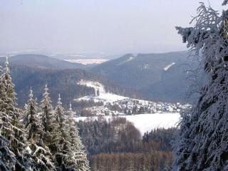 Holiday home Lieselotte in the heart of the Thuringian Forest - 5