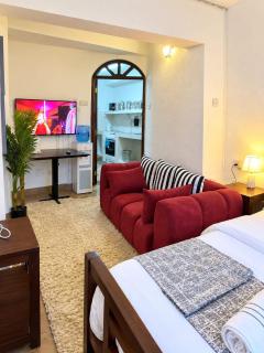 classis bnb ground floor with pool - 4
