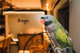 Boutique Hotel Kanyon - 8