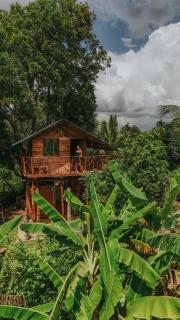 Farming Tree House - 0