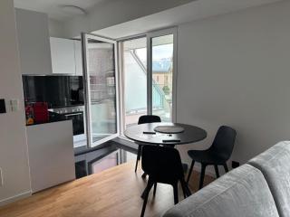 Top Floor, 2 minutes from Lausanne Train station 62 - 3