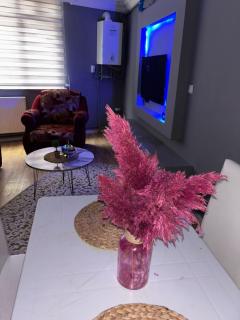 Pendik Carsi Merkezi Daire - 9