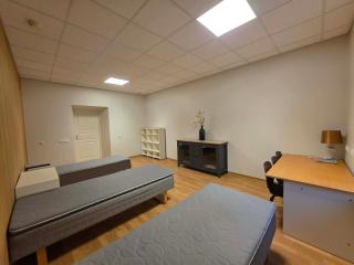 P102 Rooms near City Center close to Kitsekyla Station and A Le Coq Arena - 2