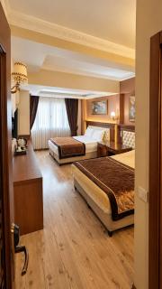 Blue Istanbul Hotel - 1
