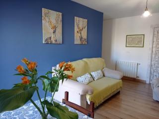 Apartamentos Pico San Carlos - 1