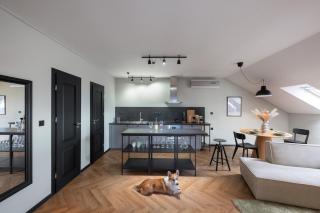 ANTRE 2 podkrovny apartman s klimou dog friendly - 6