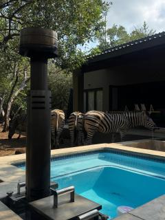 Shongololo Bush Villa, Luxury Safari Villa, Wood-Fired Hottub, Private Pool - 9