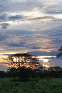 Naka Luxury Safari Lodge - 5